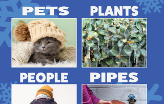 Pets, Plants, People, and Pipes